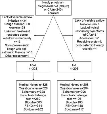 Clinical and Inflammatory Characteristics of the Chinese APAC Cough Variant Asthma Cohort